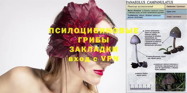 гашик Покачи