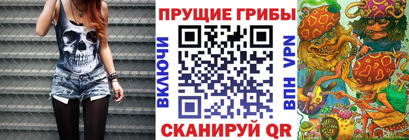 Галлюциногенные грибы Psilocybe Сибай