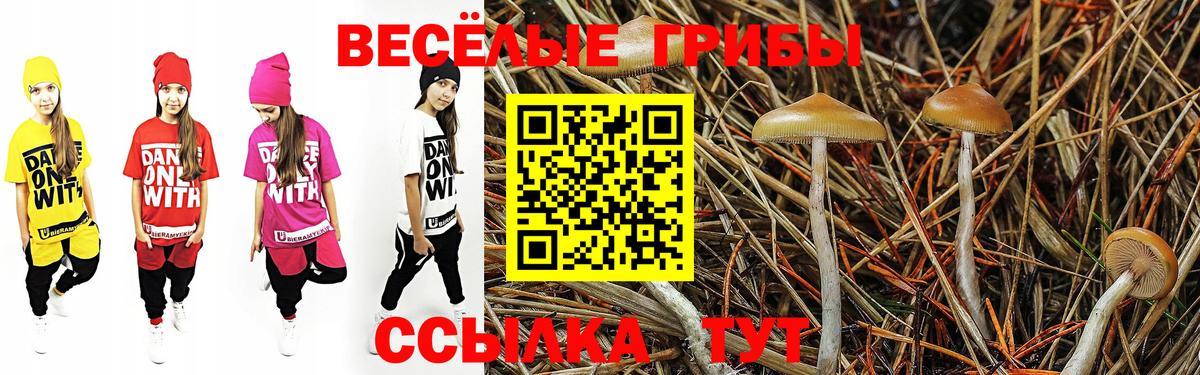 Меф МЯУ МЯУ кристаллы  LSD-25  Магазины продажи наркотиков  Вход с VPN  Меф МЯУ МЯУ  ГАШИШ  Марихуана  Сибай  COCAIN 