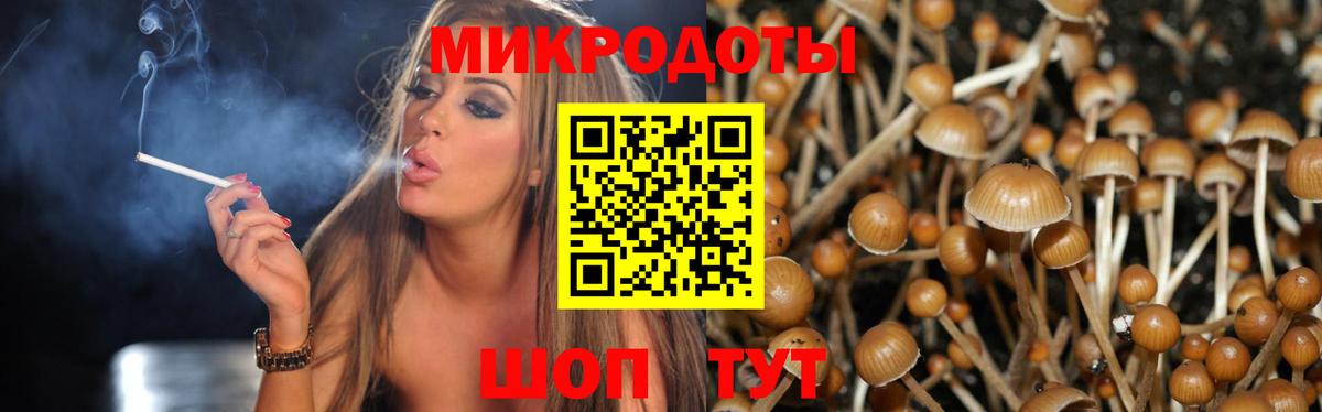 Псилоцибиновые грибы мицелий  Вход с VPN  Сибай 